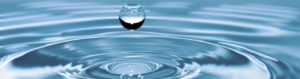 Waves banner